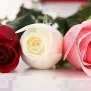 Meet your Posher, Francine